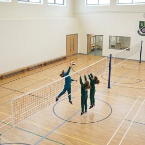 Voleybol